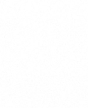 A3
